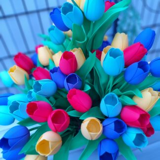 Tulpe