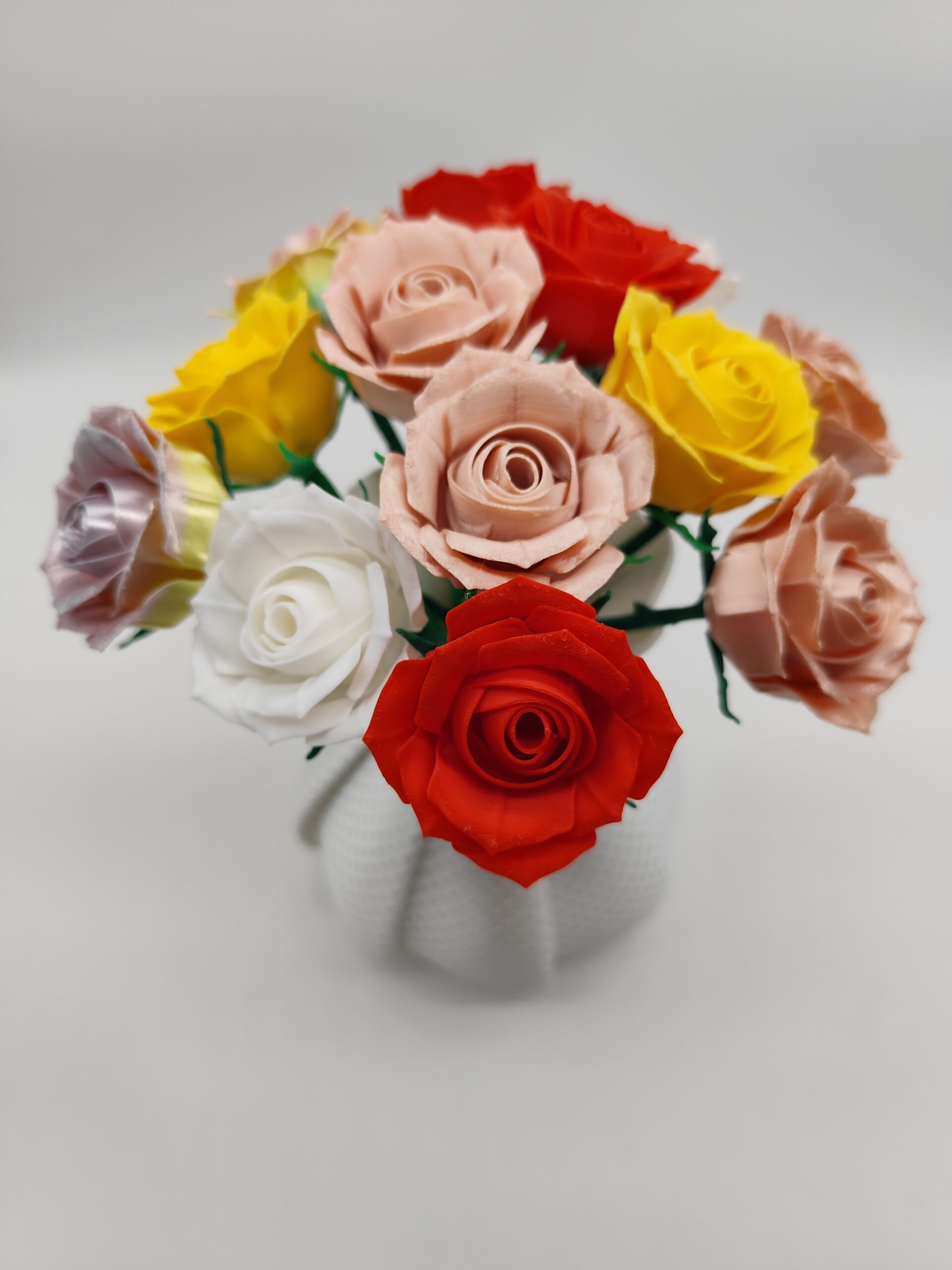 Rose Zart – Bild 8