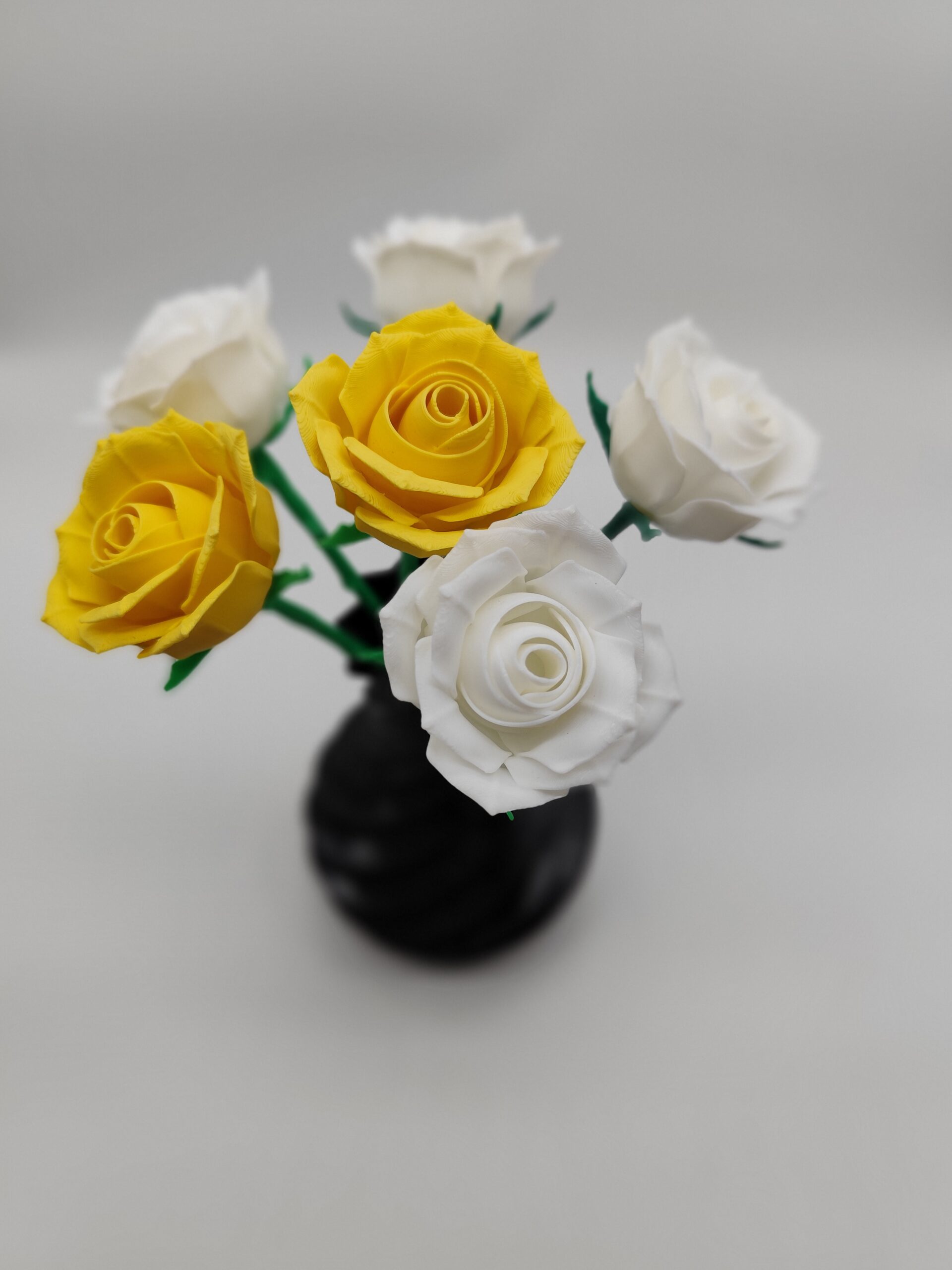 Rose Zart – Bild 7