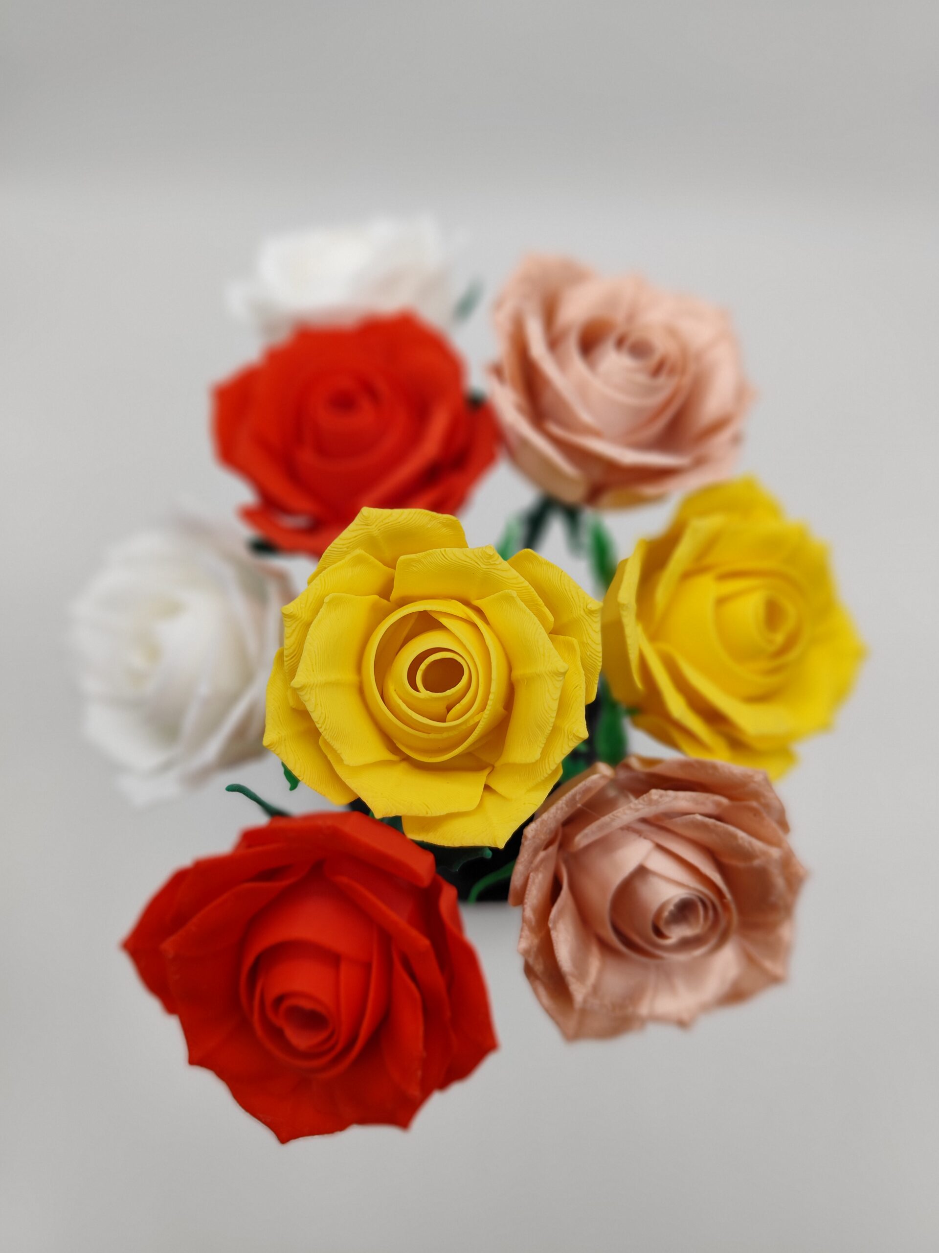 Rose Zart – Bild 5