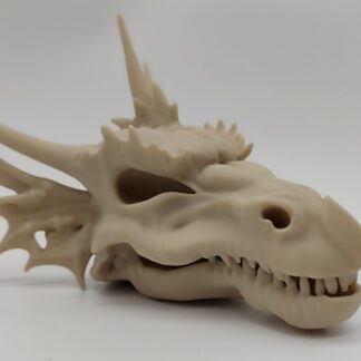 Dragon Skull Decor